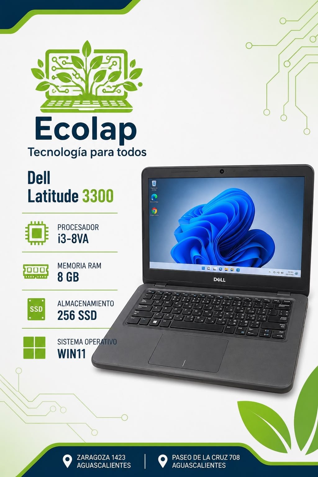 Dell Latitude 3300 | Intel Core i3 8va Gen | 8 GB RAM | SSD 256 GB | Windows 11 + Office